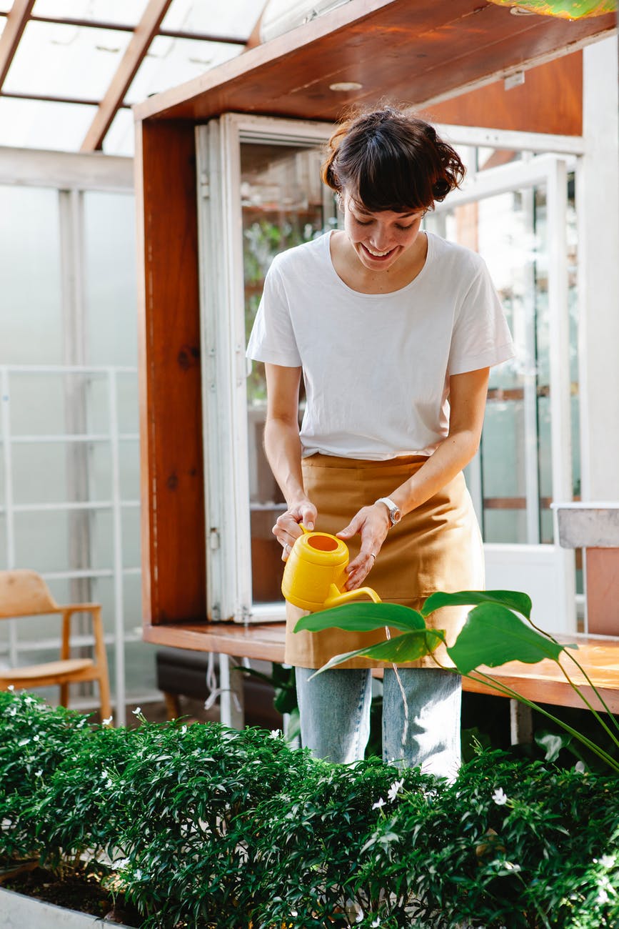 female employee watering plants in greenhouse